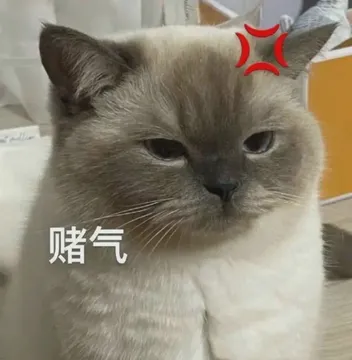 赌气