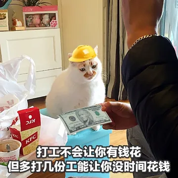 分享一点社畜表情包