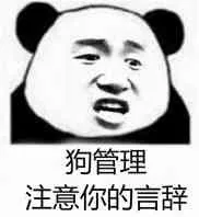 狗管理注意你的言辞！