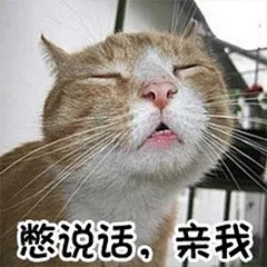 憋说话亲我