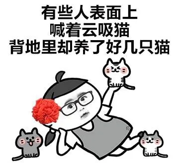 有些人表面上喊着云吸猫，背地里却养了好几只猫