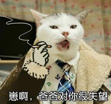 迟」崽啊，爸爸对你很失望