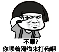 不服？你顺着网线来打我啊