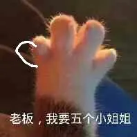 老板.我要五个小姐姐