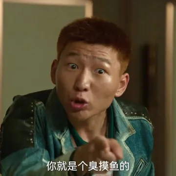 你就是个臭摸鱼的