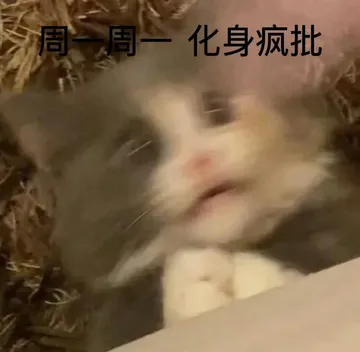 周一周一化身疯批