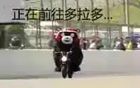 熊本熊：正在前往多拉多