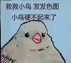 救救小鸟发发色图.小鸟硬不起来了