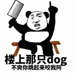 楼上那只dog不爽你跳起来咬我啊