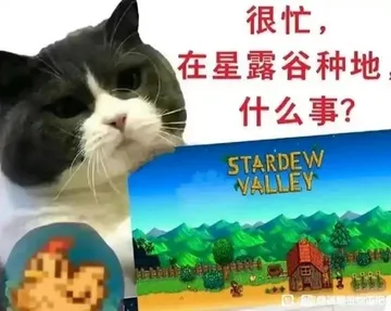 深夜加更档,交换你手里的星露谷表情包