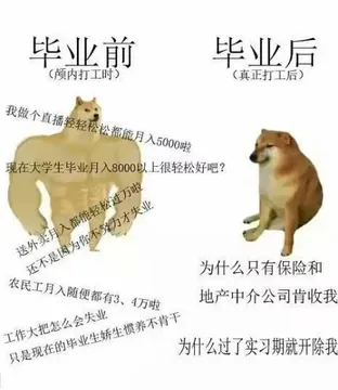 毕业前毕业后(颅内打工时)(真正打工后)我做个直播轻轻松松都能月入5000啦现在大学生毕业月入8000以上很轻松好吧送外卖月入都能轻松过万啦还不是因为你不努力才失业为什么只有保险和农民工月入随便都有3、4万啦地产中介公司肯收我工作大把怎么会