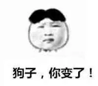 狗子，你变了！（金三胖）