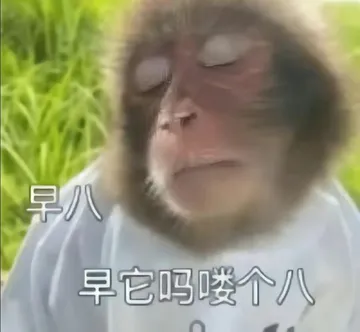 吗喽表情包 吗喽猴子搞笑图