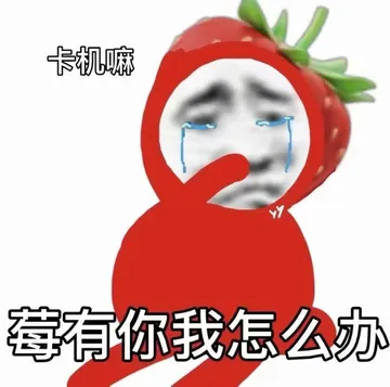 卡机嘛莓有你我怎么办