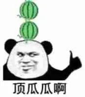 顶瓜瓜啊