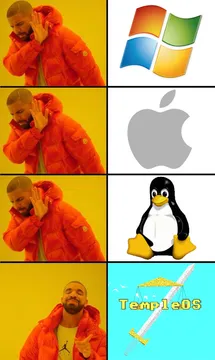 The programmer's choice of operating system