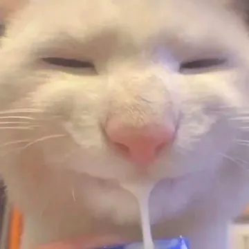 小猫吃玉米表情包