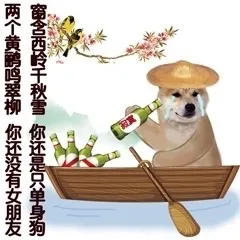 两个黄鹂鸣翠柳，你还没有女朋友