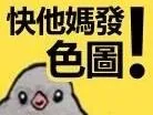 快TM发色图