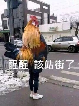 醒醒該站街了（公鸡）