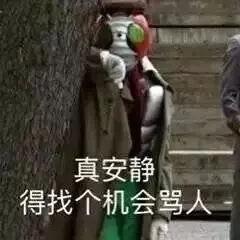 真安静.得找个机会骂人