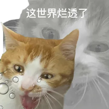 这世界烂透了