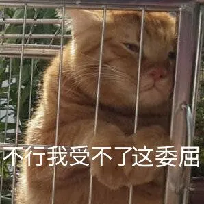 不行.我受不了这委屈