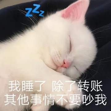 我睡了除了转账其他事情不要吵我