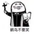 鹂鸟不要笑