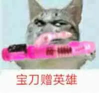 宝刀赠英雄(振动棒)