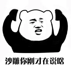 沙雕.你刚才在说啥