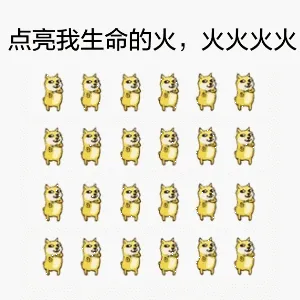 点亮我生命的火.火火火火的的的