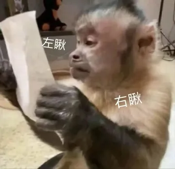 左瞅右瞅
