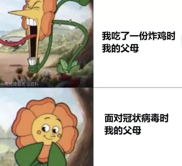 冠状病毒00008-我吃了一份炸鸡我的父母面对冠状病毒时我的父母