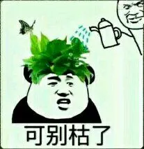 浇水下.可别枯了(头上植物)