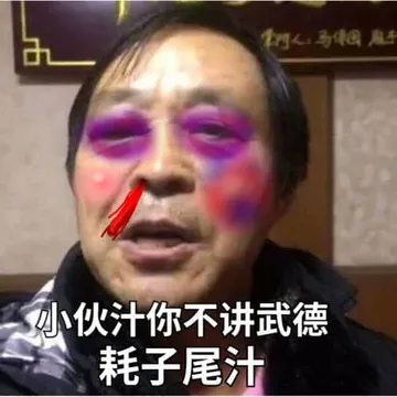 马保国 memes