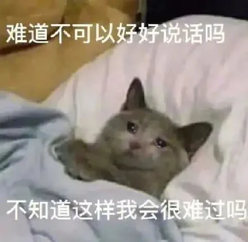 难道不可以好好说话吗不知道这样我会很难过吗