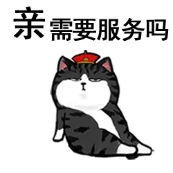 亲，需要服务吗