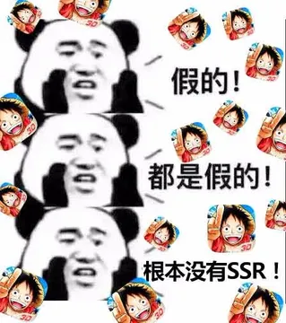 假的！都是假的！根本没有SSR！