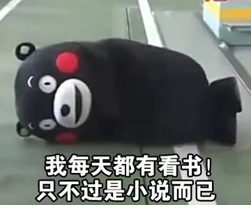 我每天都在看书！之不过是小说而已