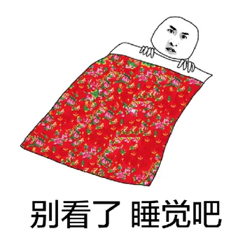 别看了，睡觉吧
