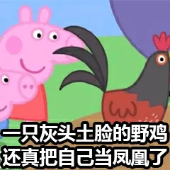 一只灰头土脸的野鸡，还真把自己当凤凰了