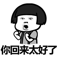 你回来太好了