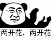 两开花.两开花