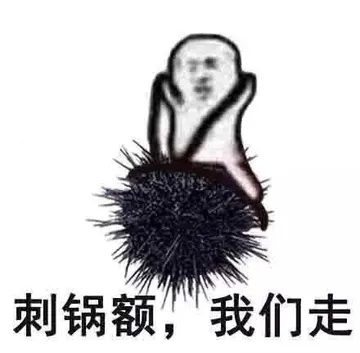 刺锅额.我们走