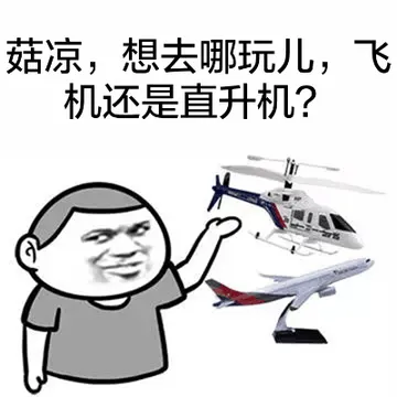 姑凉，想去哪玩儿，飞机还是直升机？