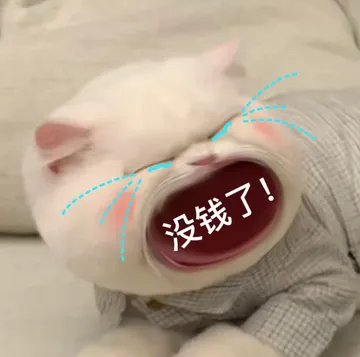 没钱了!