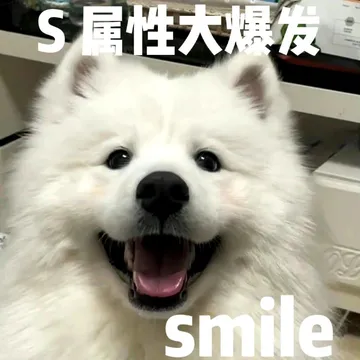 S属性大爆发smile