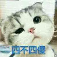 四不四傻