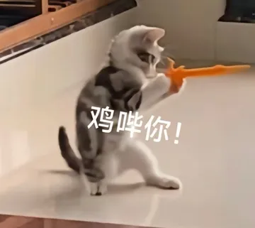 鸡哔你！
